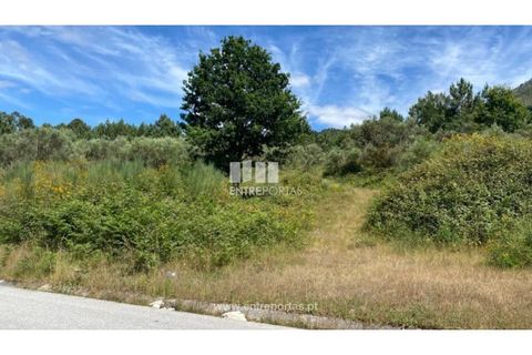 Terra a Atei, Vila Real, Atei - € 180.000 | Ref: MC09363 - foto 7
