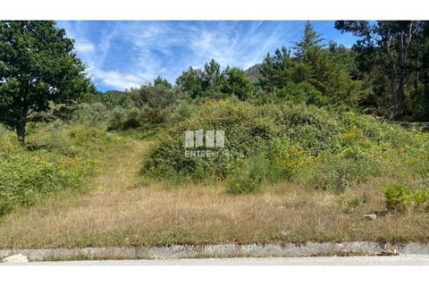 Terra a Atei, Vila Real, Atei - € 180.000 | Ref: MC09363 - foto 8