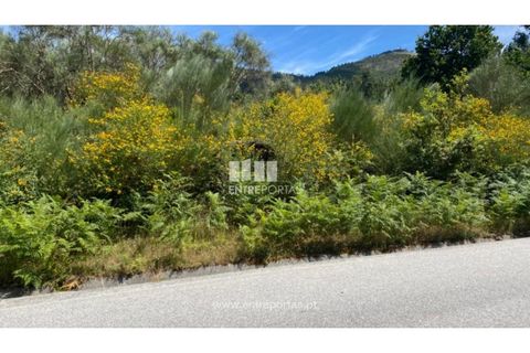 Terra a Atei, Vila Real, Atei - € 180.000 | Ref: MC09363 - foto 9