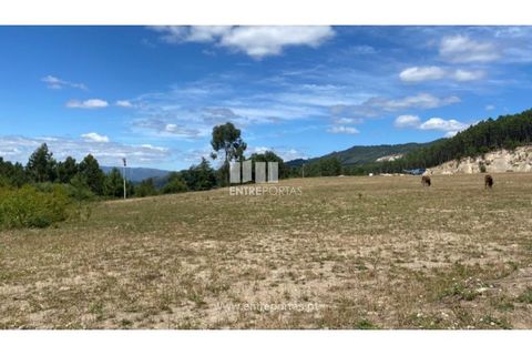 Terra a Atei, Vila Real, Atei - € 180.000 | Ref: MC09363 - foto 10