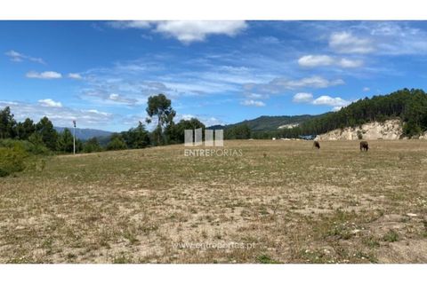 Terra a Atei, Vila Real, Atei - € 180.000 | Ref: MC09363 - foto 11