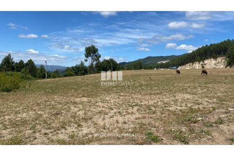 Terra a Atei, Vila Real, Atei - € 180.000 | Ref: MC09363 - foto 12