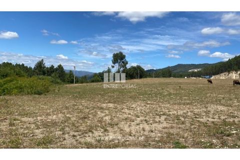 Terra a Atei, Vila Real, Atei - € 180.000 | Ref: MC09363 - foto 13