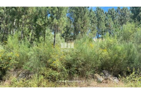 Terra a Atei, Vila Real, Atei - € 180.000 | Ref: MC09363 - foto 14