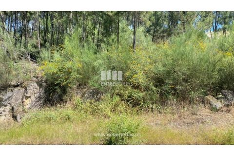 Terra a Atei, Vila Real, Atei - € 180.000 | Ref: MC09363 - foto 16