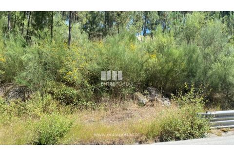 Terra a Atei, Vila Real, Atei - € 180.000 | Ref: MC09363 - foto 17