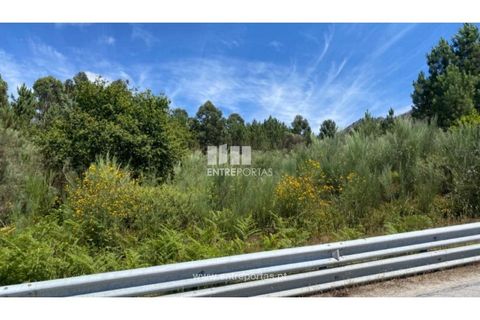 Terra a Atei, Vila Real, Atei - € 180.000 | Ref: MC09363 - foto 18