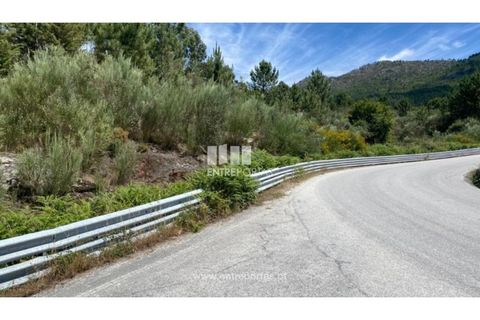 Terra a Atei, Vila Real, Atei - € 180.000 | Ref: MC09363 - foto 19