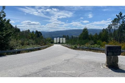 Terra a Atei, Vila Real, Atei - € 180.000 | Ref: MC09363 - foto 20