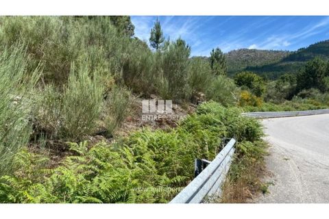 Terra a Atei, Vila Real, Atei - € 180.000 | Ref: MC09363 - foto 21