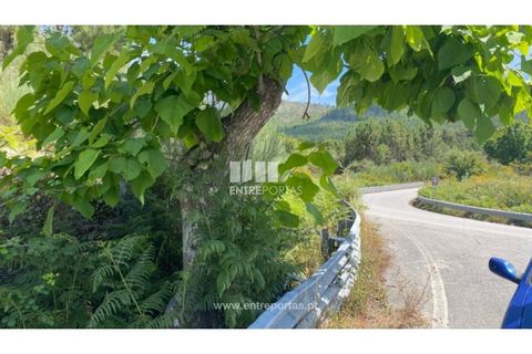 Terra a Atei, Vila Real, Atei - € 180.000 | Ref: MC09363 - foto 22