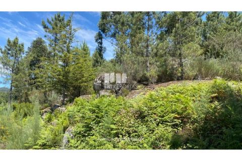 Terra a Atei, Vila Real, Atei - € 180.000 | Ref: MC09363 - foto 24