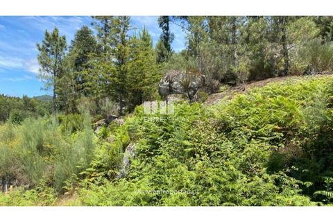 Terra a Atei, Vila Real, Atei - € 180.000 | Ref: MC09363 - foto 25