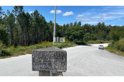 Terra a Atei, Vila Real, Atei - € 180.000 | Ref: MC09363 - foto 27