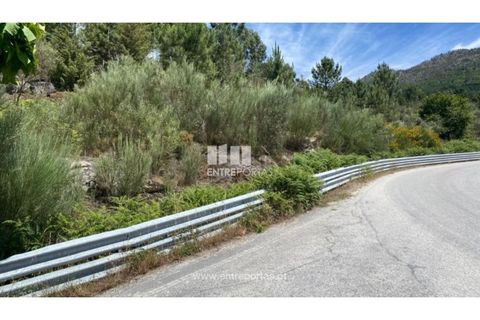 Terra a Atei, Vila Real, Atei - € 180.000 | Ref: MC09363 - foto 28
