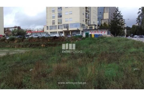 Helårsgrund i Valenca, Viana do Castelo, Valenca - € 1.000.000 | Ref: C02589 - foto 5
