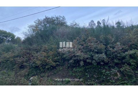 Helårsgrund i Baiao, Porto, Baiao - € 27.500 | Ref: MC09416 - foto 1