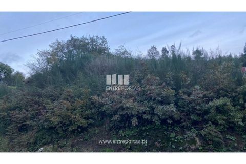 Helårsgrund i Baiao, Porto, Baiao - € 27.500 | Ref: MC09416 - foto 2