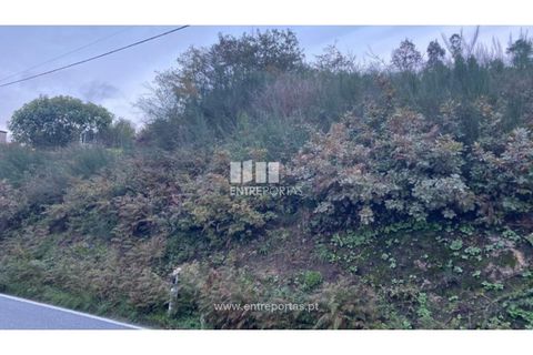 Helårsgrund i Baiao, Porto, Baiao - € 27.500 | Ref: MC09416 - foto 3