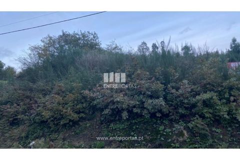 Helårsgrund i Baiao, Porto, Baiao - € 27.500 | Ref: MC09416 - foto 5