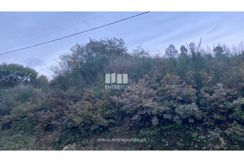 Helårsgrund i Baiao, Porto, Baiao - € 27.500 | Ref: MC09416 - foto 6