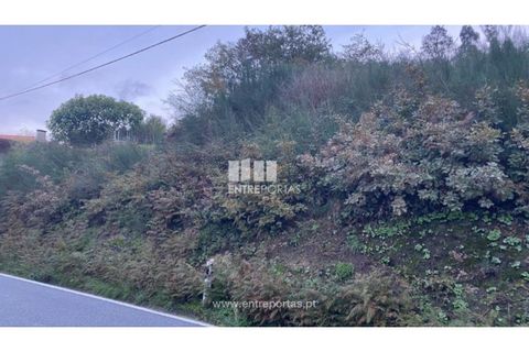 Helårsgrund i Baiao, Porto, Baiao - € 27.500 | Ref: MC09416 - foto 7