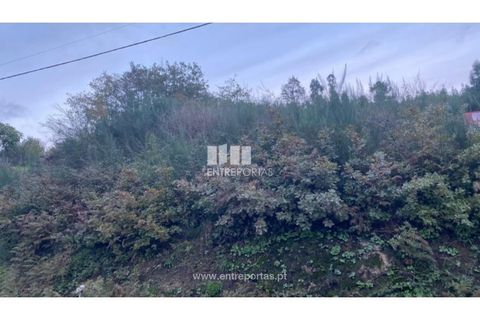 Helårsgrund i Baiao, Porto, Baiao - € 27.500 | Ref: MC09416 - foto 8