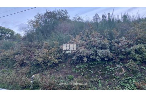 Helårsgrund i Baiao, Porto, Baiao - € 27.500 | Ref: MC09416 - foto 9