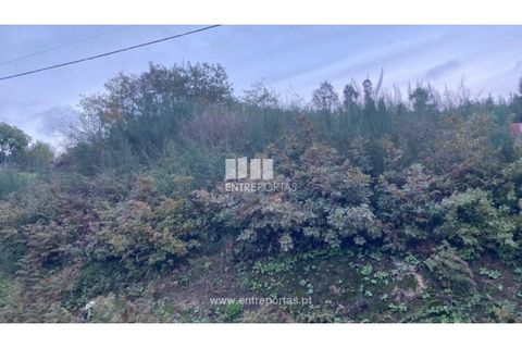 Helårsgrund i Baiao, Porto, Baiao - € 27.500 | Ref: MC09416 - foto 10
