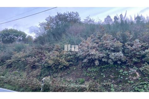 Helårsgrund i Baiao, Porto, Baiao - € 27.500 | Ref: MC09416 - foto 11