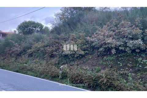 Helårsgrund i Baiao, Porto, Baiao - € 27.500 | Ref: MC09416 - foto 12