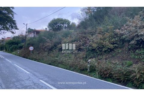 Helårsgrund i Baiao, Porto, Baiao - € 27.500 | Ref: MC09416 - foto 13