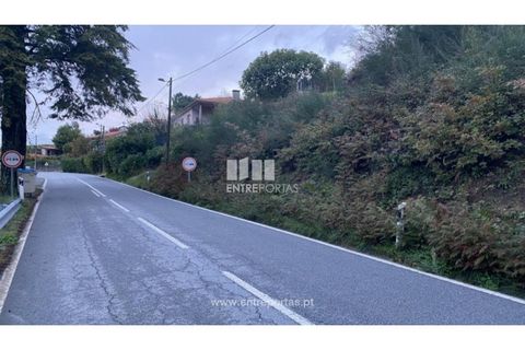 Helårsgrund i Baiao, Porto, Baiao - € 27.500 | Ref: MC09416 - foto 14
