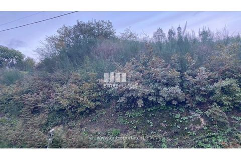 Helårsgrund i Baiao, Porto, Baiao - € 27.500 | Ref: MC09416 - foto 15