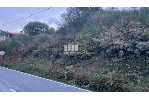 Helårsgrund i Baiao, Porto, Baiao - € 27.500 | Ref: MC09416 - foto 16