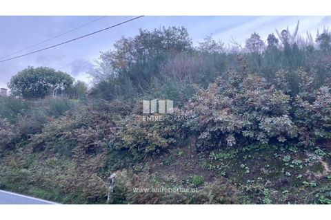 Helårsgrund i Baiao, Porto, Baiao - € 27.500 | Ref: MC09416 - foto 17