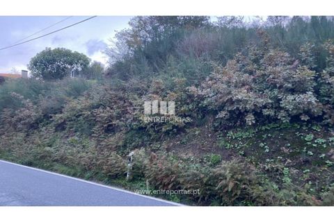 Helårsgrund i Baiao, Porto, Baiao - € 27.500 | Ref: MC09416 - foto 18