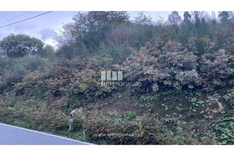 Helårsgrund i Baiao, Porto, Baiao - € 27.500 | Ref: MC09416 - foto 19