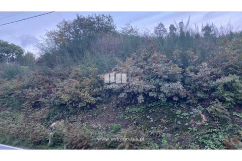 Helårsgrund i Baiao, Porto, Baiao - € 27.500 | Ref: MC09416 - foto 20
