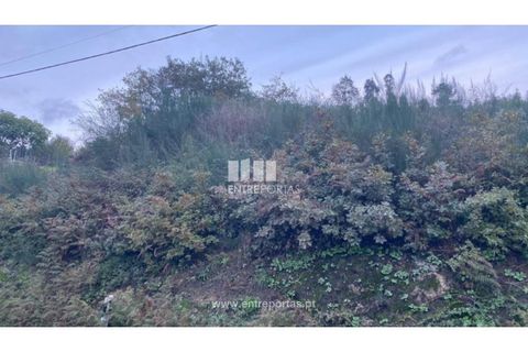 Helårsgrund i Baiao, Porto, Baiao - € 27.500 | Ref: MC09416 - foto 21