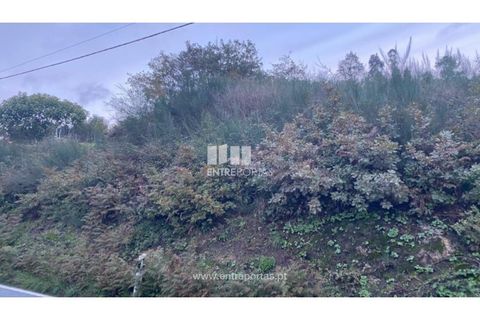Helårsgrund i Baiao, Porto, Baiao - € 27.500 | Ref: MC09416 - foto 22