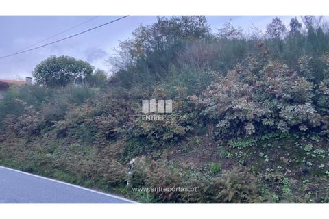 Helårsgrund i Baiao, Porto, Baiao - € 27.500 | Ref: MC09416 - foto 23