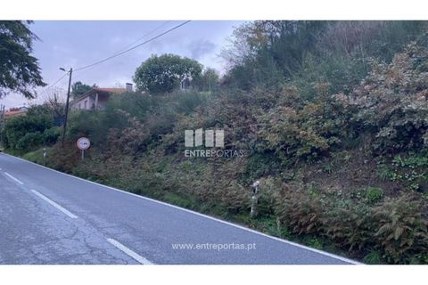 Helårsgrund i Baiao, Porto, Baiao - € 27.500 | Ref: MC09416 - foto 24