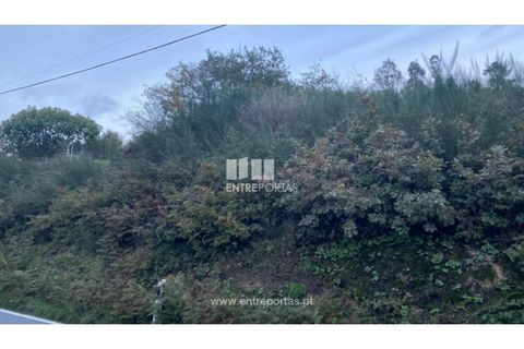 Helårsgrund i Baiao, Porto, Baiao - € 27.500 | Ref: MC09416 - foto 25