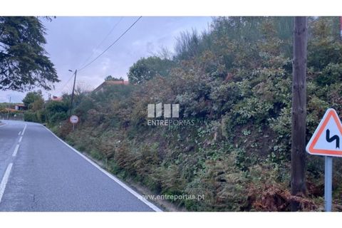 Helårsgrund i Baiao, Porto, Baiao - € 27.500 | Ref: MC09416 - foto 26