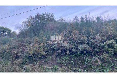 Helårsgrund i Baiao, Porto, Baiao - € 27.500 | Ref: MC09416 - foto 27
