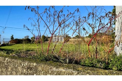 Helårsgrund i Vila do Conde, Porto, Vila do Conde - € 135.000 | Ref: VC04158 - foto 7