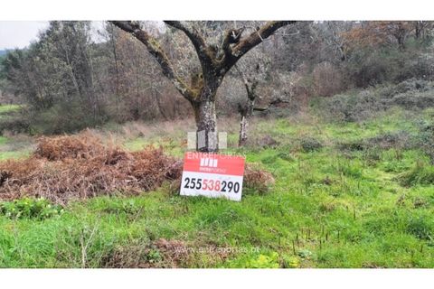 Tomt i Amarante, Porto, Amarante - € 65 000 | Ref: MC09433 - foto 25