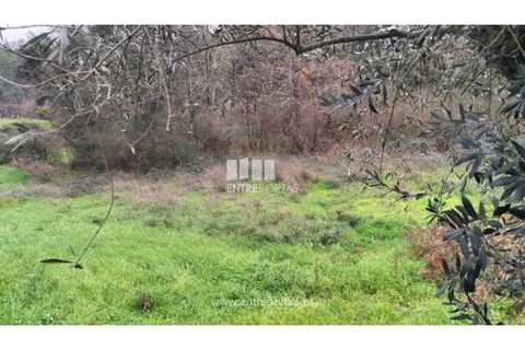 Tomt i Amarante, Porto, Amarante - € 65 000 | Ref: MC09433 - foto 26