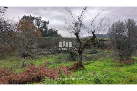Tomt i Amarante, Porto, Amarante - € 65 000 | Ref: MC09433 - foto 28
